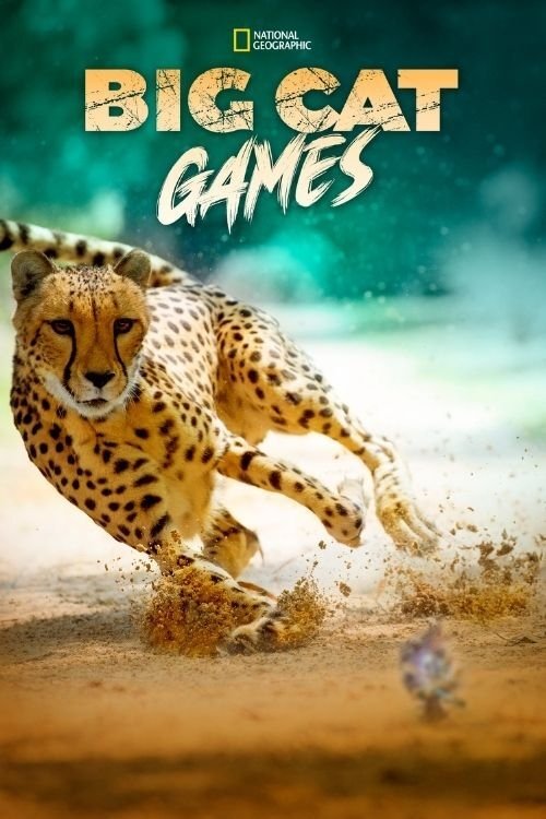 Movie poster for Big Cat Games (2015)