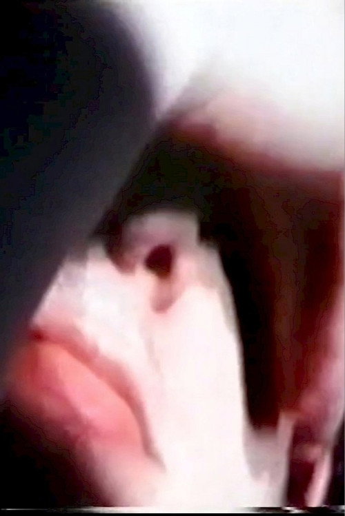 Movie poster for La vérité nue (2001)