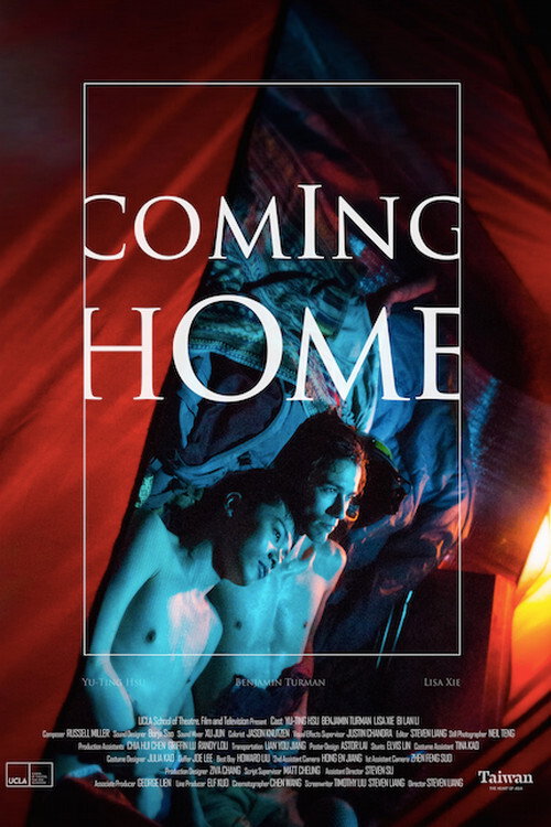 Movie poster for Coming Home (2015)