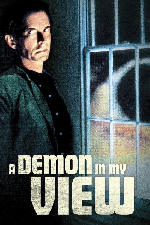 Movie poster for A Demon in My View (1991)