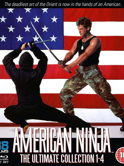 Movie poster for Ninja Gaijin: Remembering a Classic Cannon Franchise (2015)