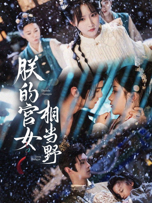 朕的宫女相当野 poster