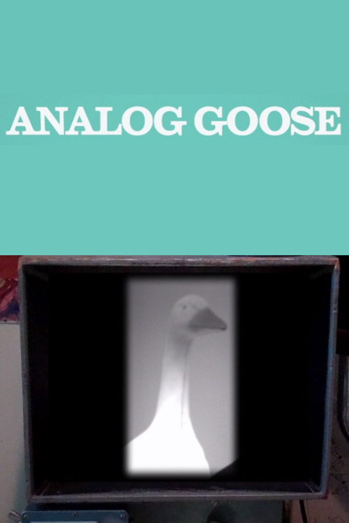 Movie poster for Analog Goose (2013)