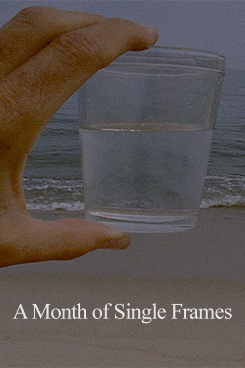 Movie poster for A Month of Single Frames (2019)