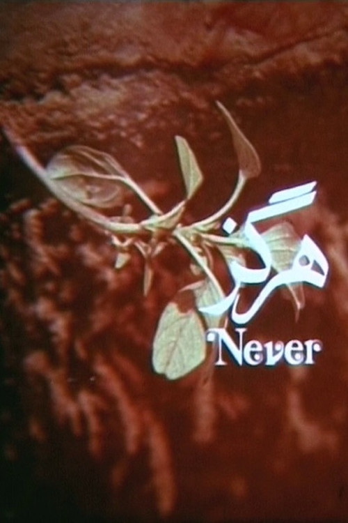 Movie poster for Never (1973)