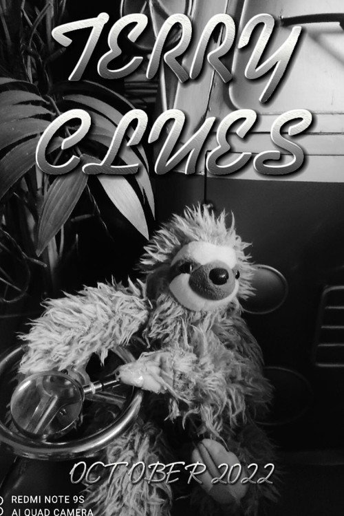Movie poster for Terry Clues (2023)