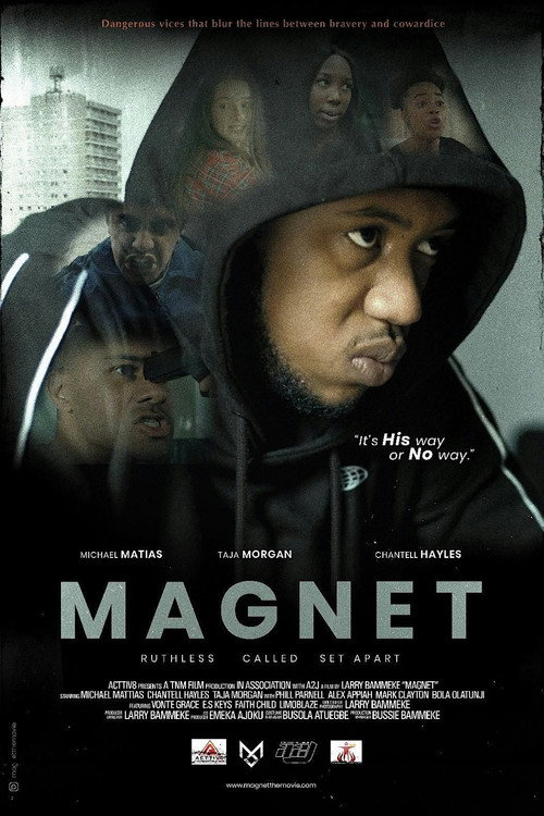 Movie poster for Magnet (2024)