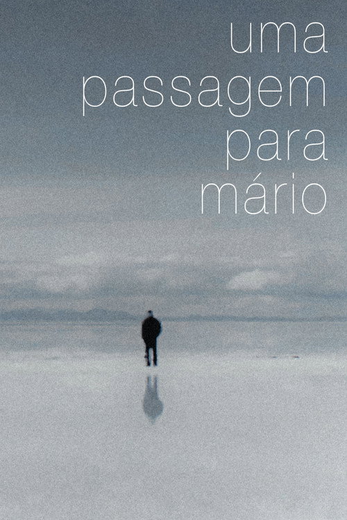 Movie poster for A Journey for Mário (2013)