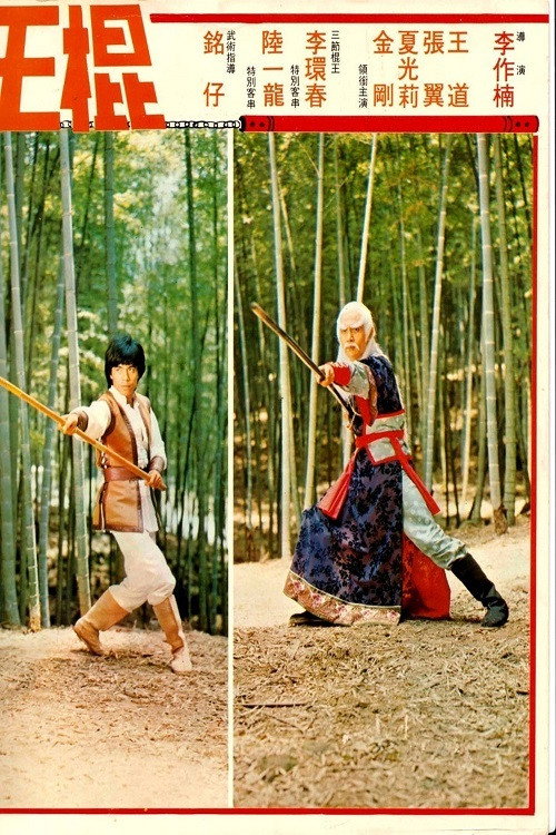 Movie poster for Shaolin Invincible Sticks (1978)