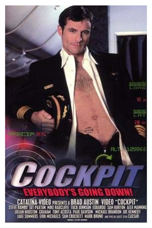 Movie poster for Cockpit (2000)