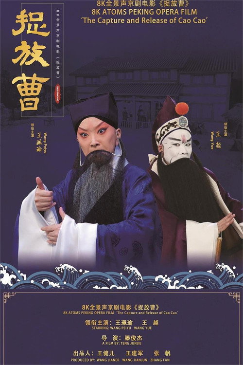 Movie poster for 捉放曹 (2021)
