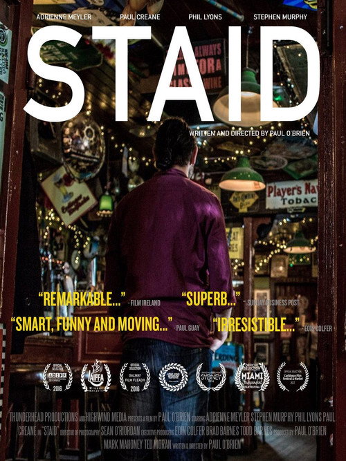 Movie poster for Staid (2016)