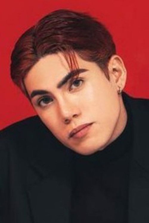 Stellvester Ajero profile