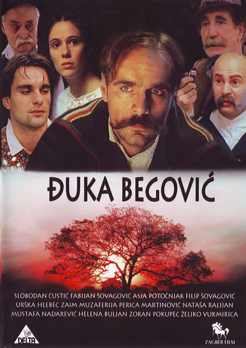 Movie poster for Djuka Begovic (1991)
