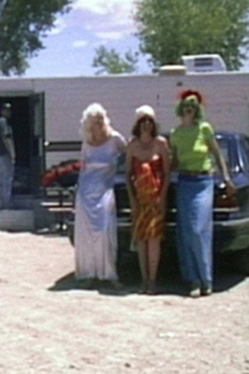 Movie poster for Transformation In the Land of Enchantment (2003)