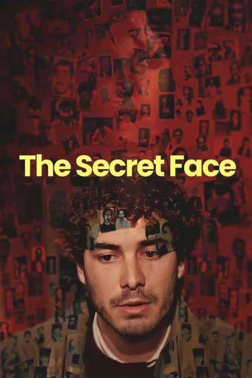 Movie poster for The Secret Face (1991)