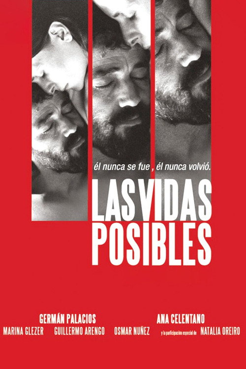 Movie poster for Possible Lives (2008)