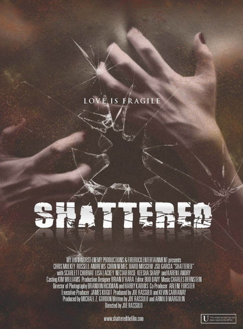 Movie poster for Shattered! (2008)