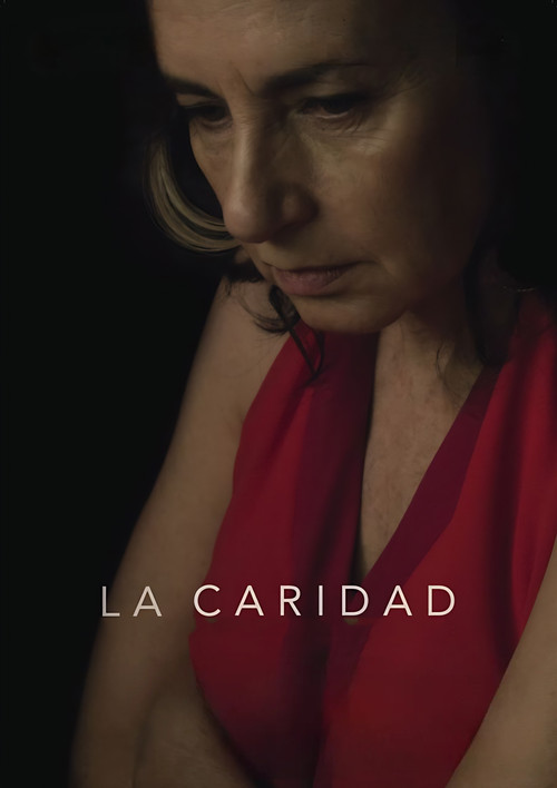 Movie poster for Charity (2016)