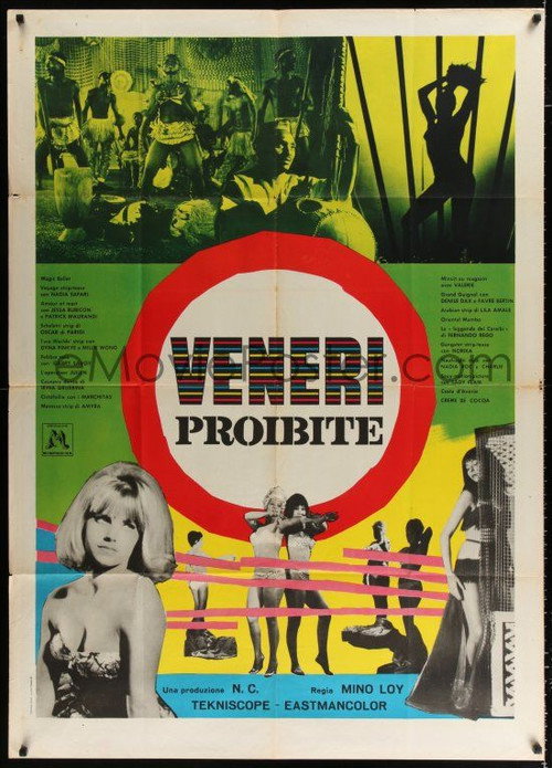 Movie poster for Forbidden Beauties (1964)