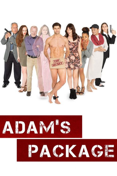 Movie poster for Adam's Package (2019)