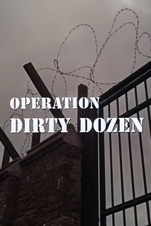 Movie poster for Operation Dirty Dozen (2006)