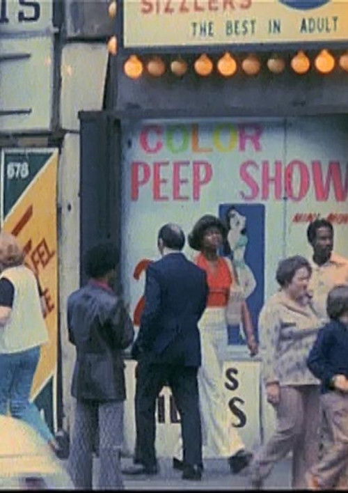 Movie poster for Sodom and Gomorrah, NY, 10036 (1976)