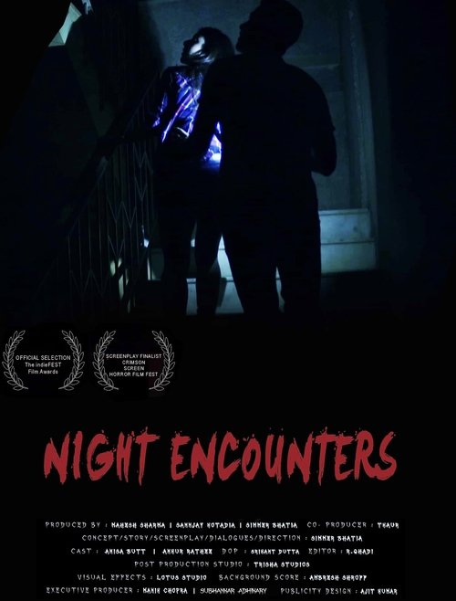 Movie poster for Night Encounters (2023)