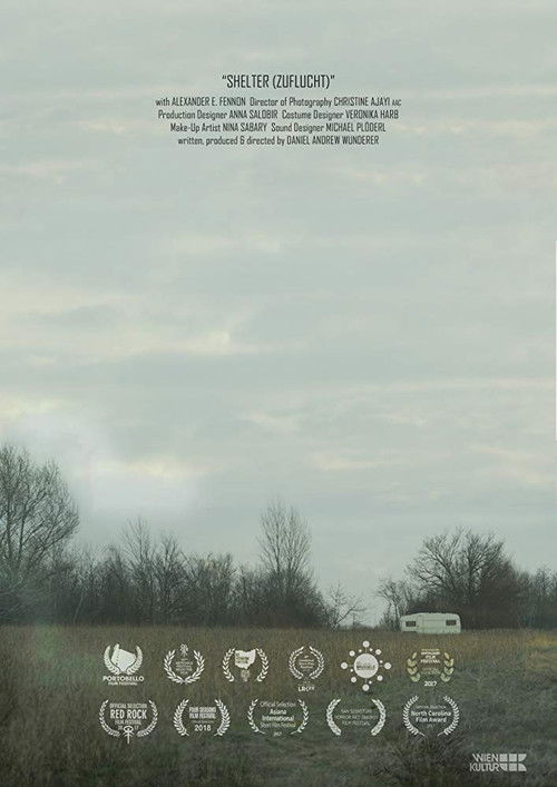 Movie poster for Shelter (2017)