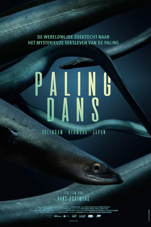 Movie poster for Hidden Dance of Eels (2024)