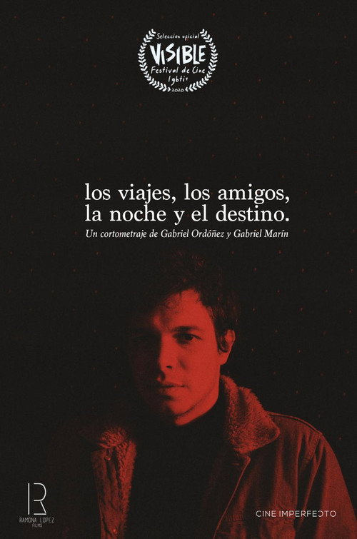 Movie poster for Trips, Friends, Night & Destiny (2021)