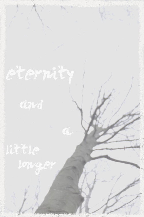 Movie poster for eternity and a little longer (2025)