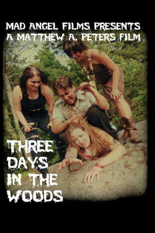 Movie poster for Three Days in the Woods (2010)