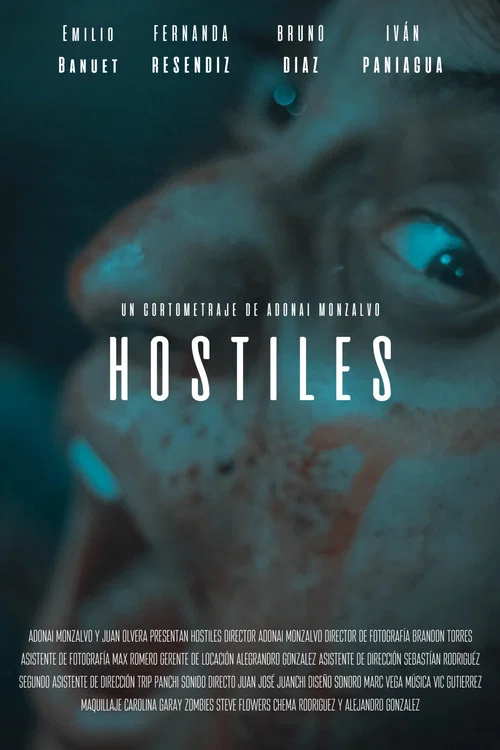 Movie poster for HOSTILES