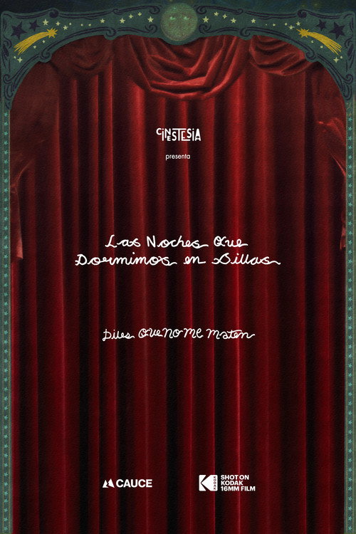 Movie poster for The nights we slept in chairs (2026)