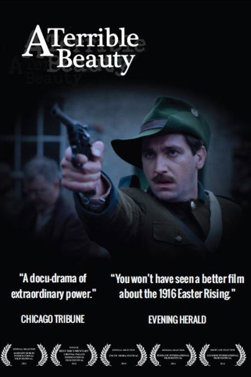 Movie poster for A Terrible Beauty (2013)