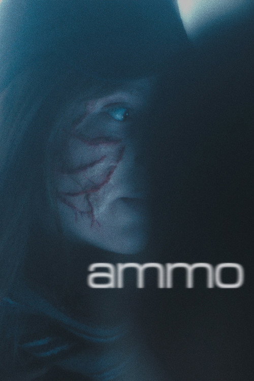 Movie poster for ammo