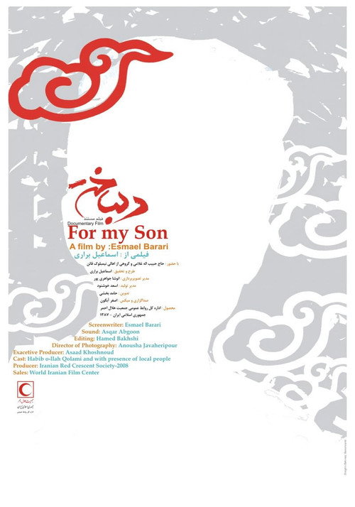 Movie poster for For My Son (2008)
