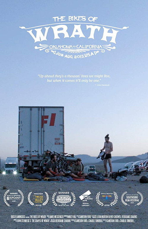 Movie poster for The Bikes of Wrath (2018)