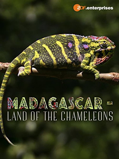 Movie poster for Madagascar: Land of the Chameleons (2012)