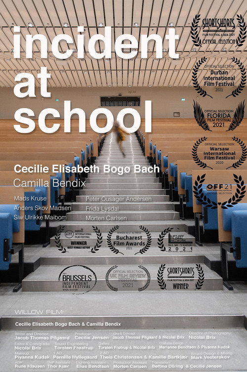 Movie poster for Incident at School (2020)
