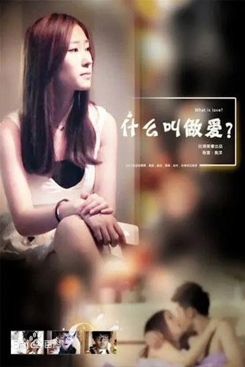 Movie poster for What Is love (2013)