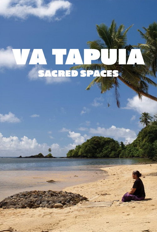 Movie poster for Sacred Spaces (2009)