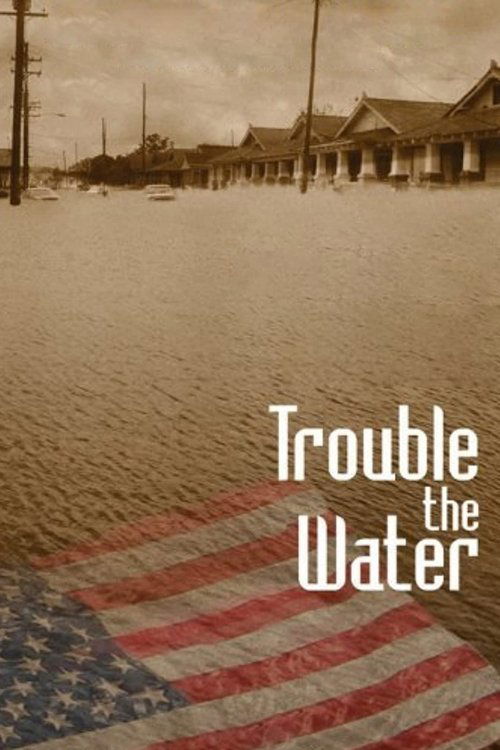 Movie poster for Trouble the Water (2008)