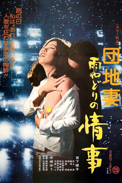 Movie poster for Apartment Wife: Rainy Day Affair (1977)