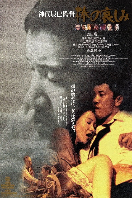 Movie poster for Like a Rolling Stone (1994)