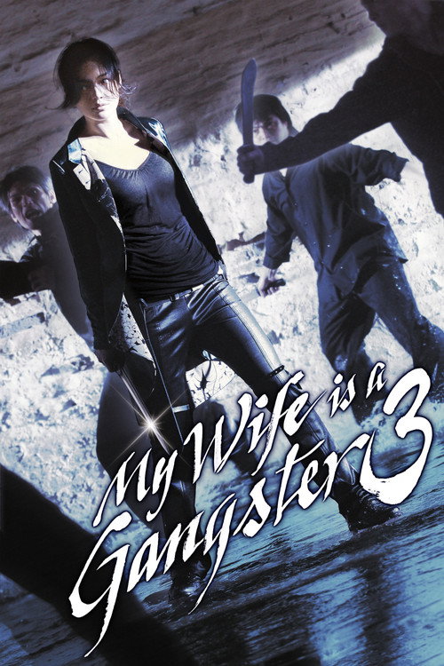 Movie poster for My Wife is a Gangster 3 (2006)