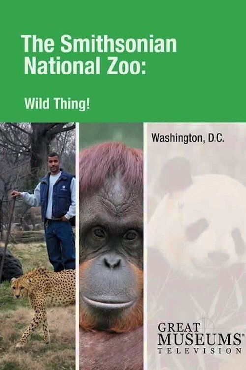 Movie poster for Wild Thing! The Smithsonian National Zoo