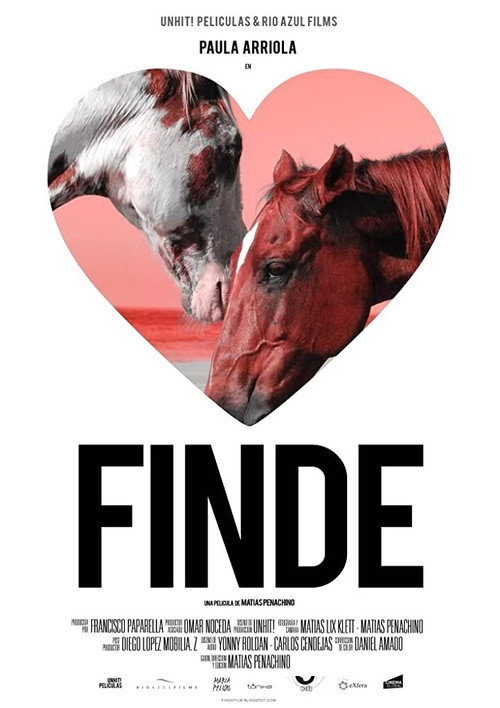 Movie poster for Finde (2010)