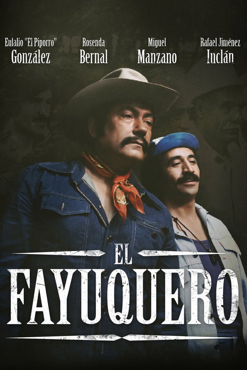 Movie poster for El fayuquero (1979)